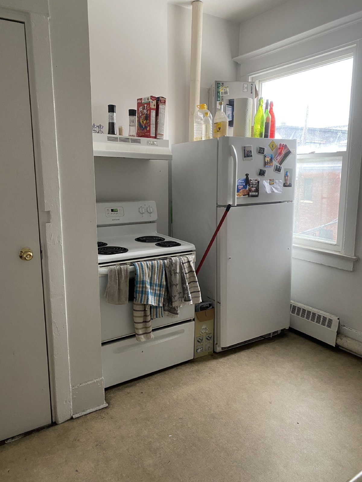 351 Elgin Street - B property image