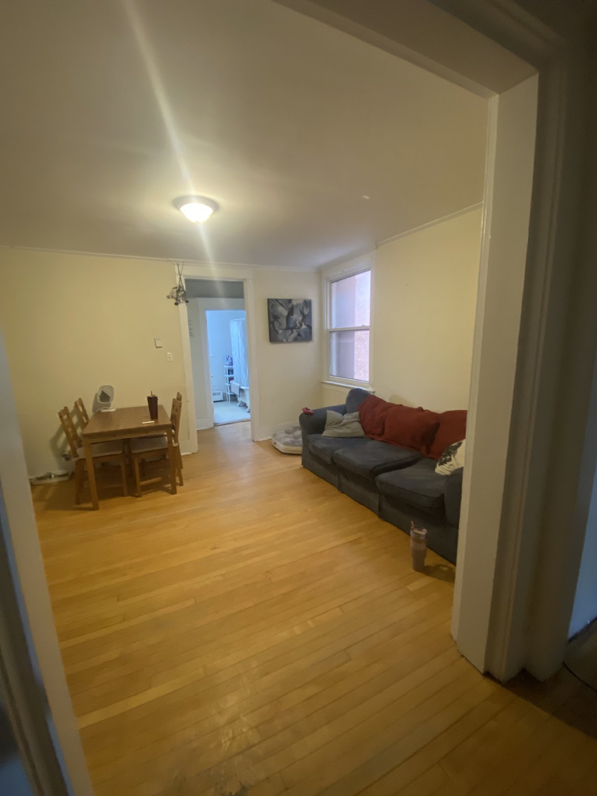 351 Elgin Street - B property image