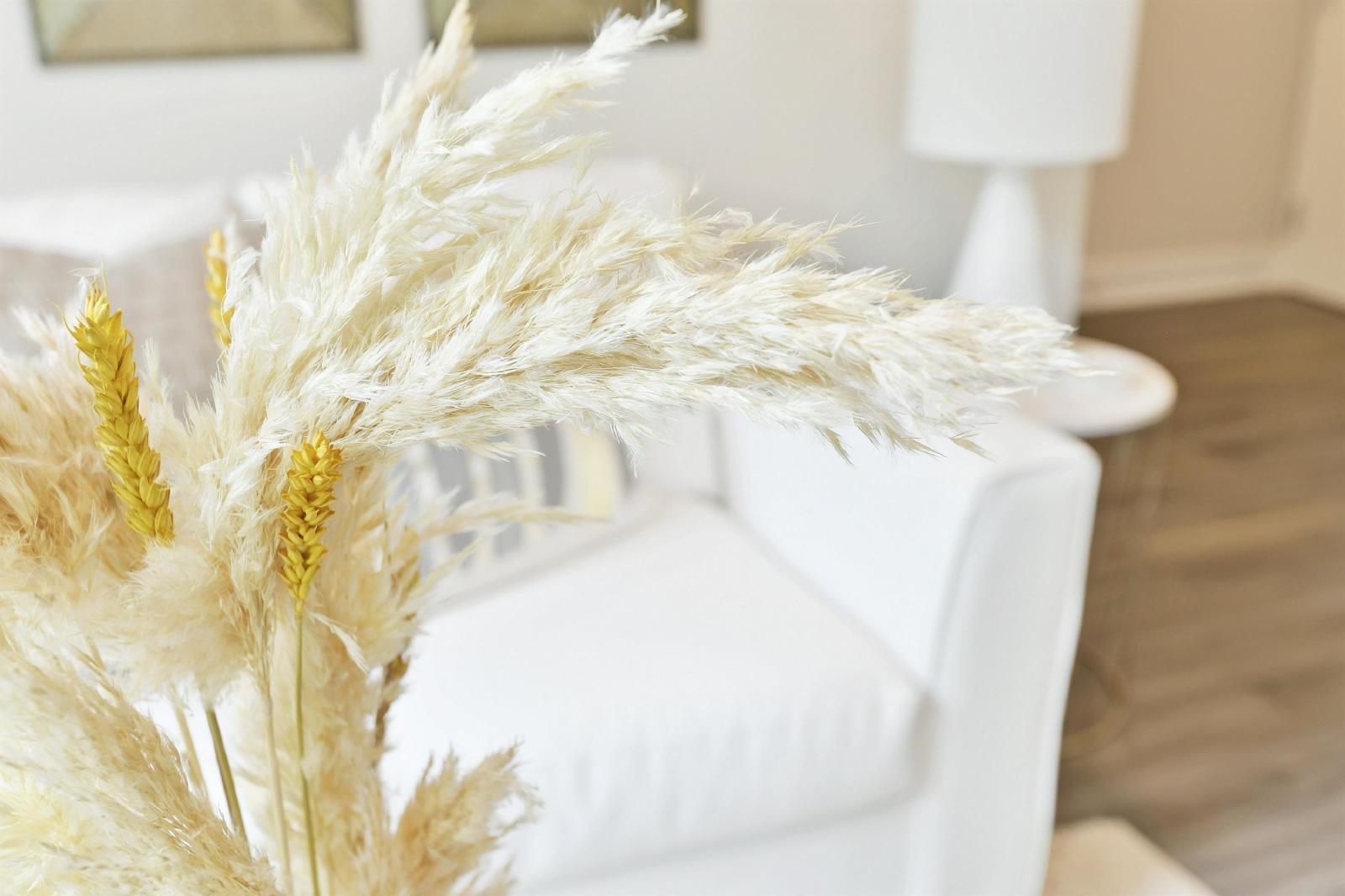 16 Champagne Avenue South - 204 property image