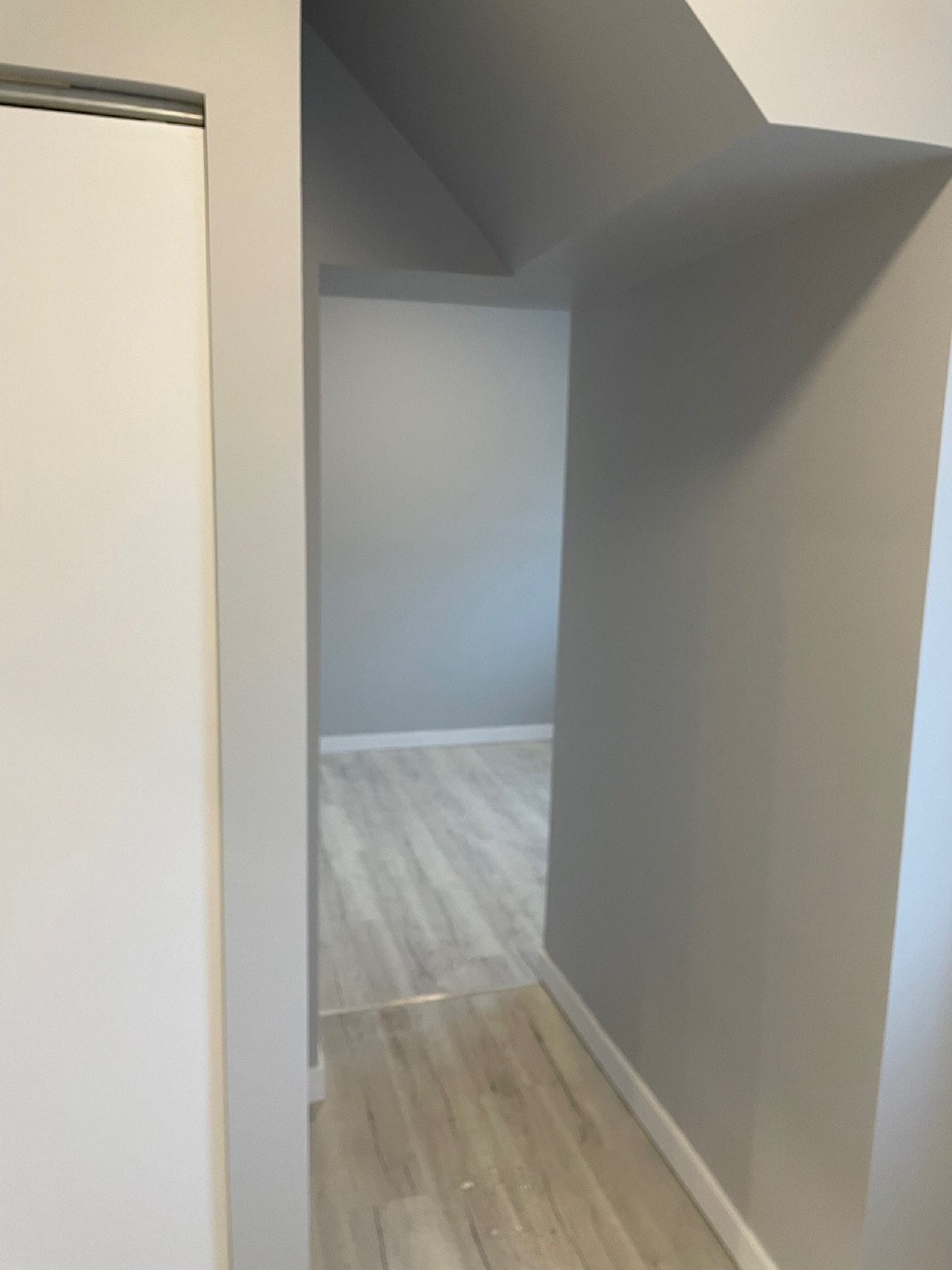 239 Percy Street - B property image