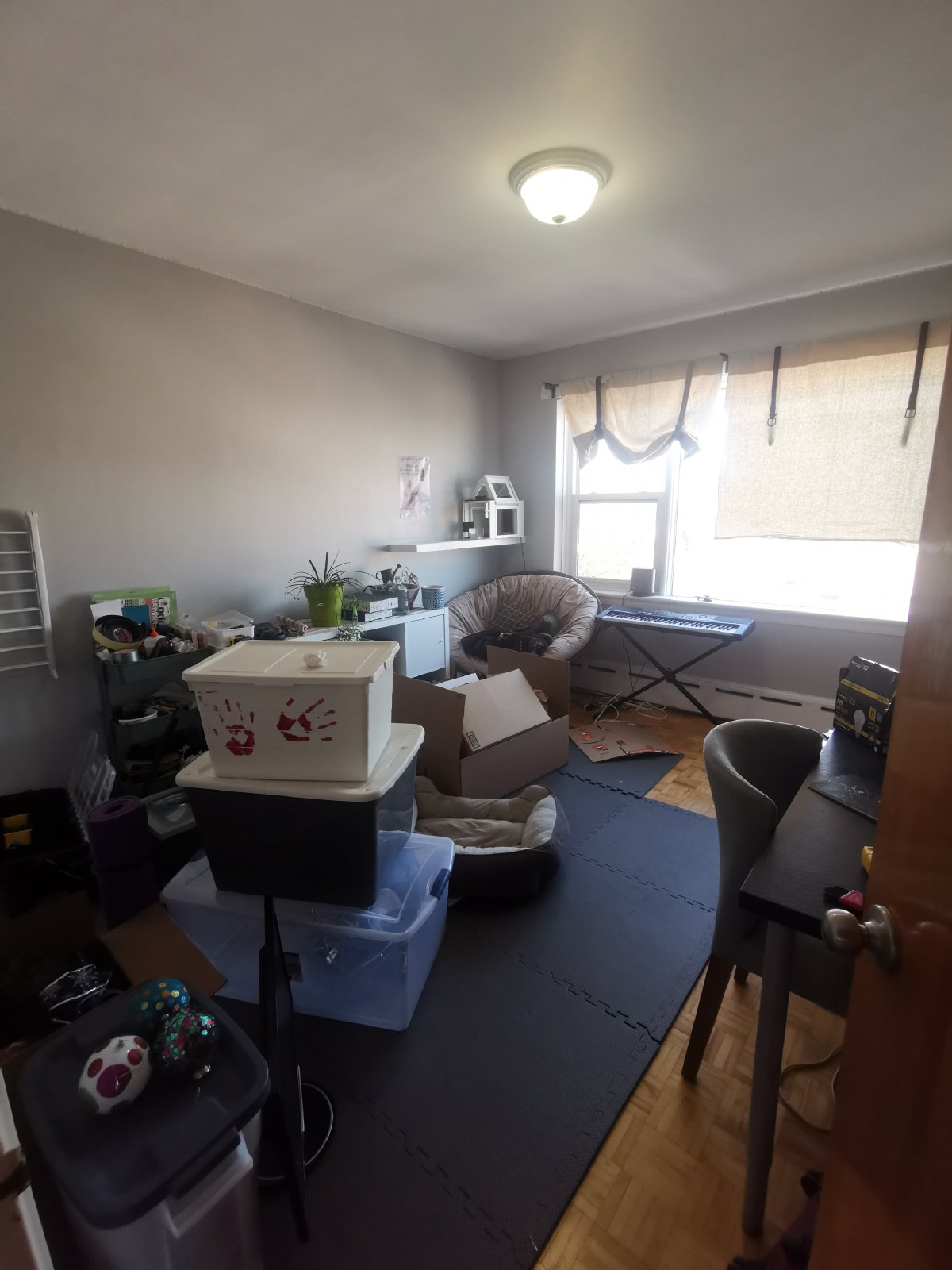 500 Clarence - Unit 6 property image