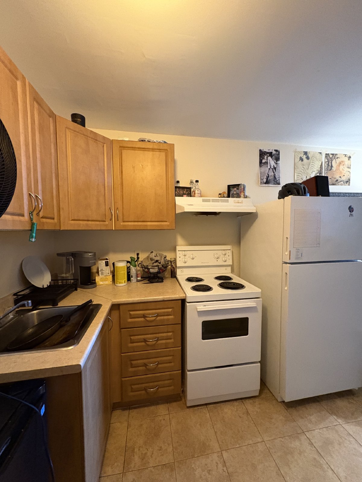 355 Elgin Street - E property image