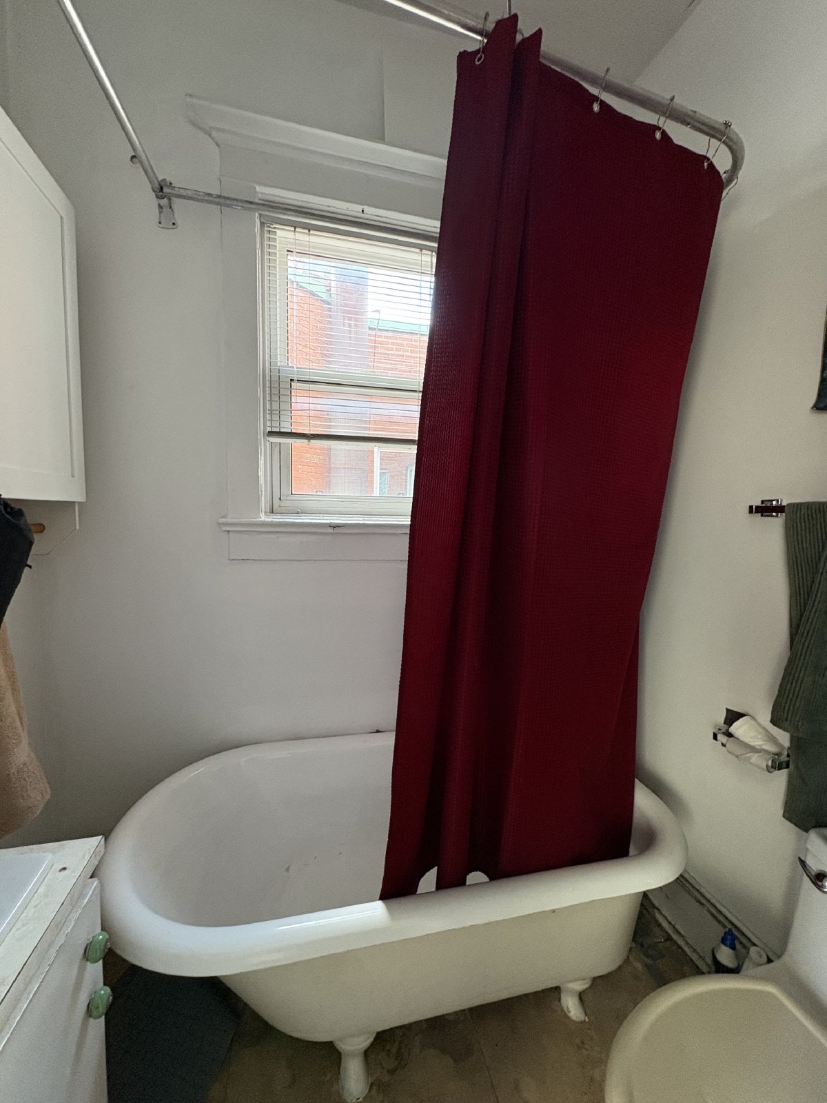 355 Elgin Street - E property image