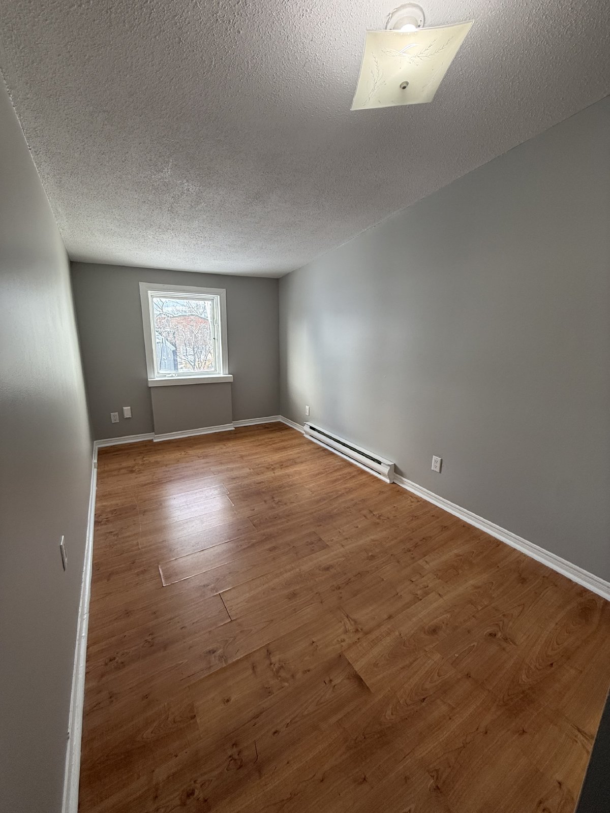 23 Lowrey Street - 3 property image