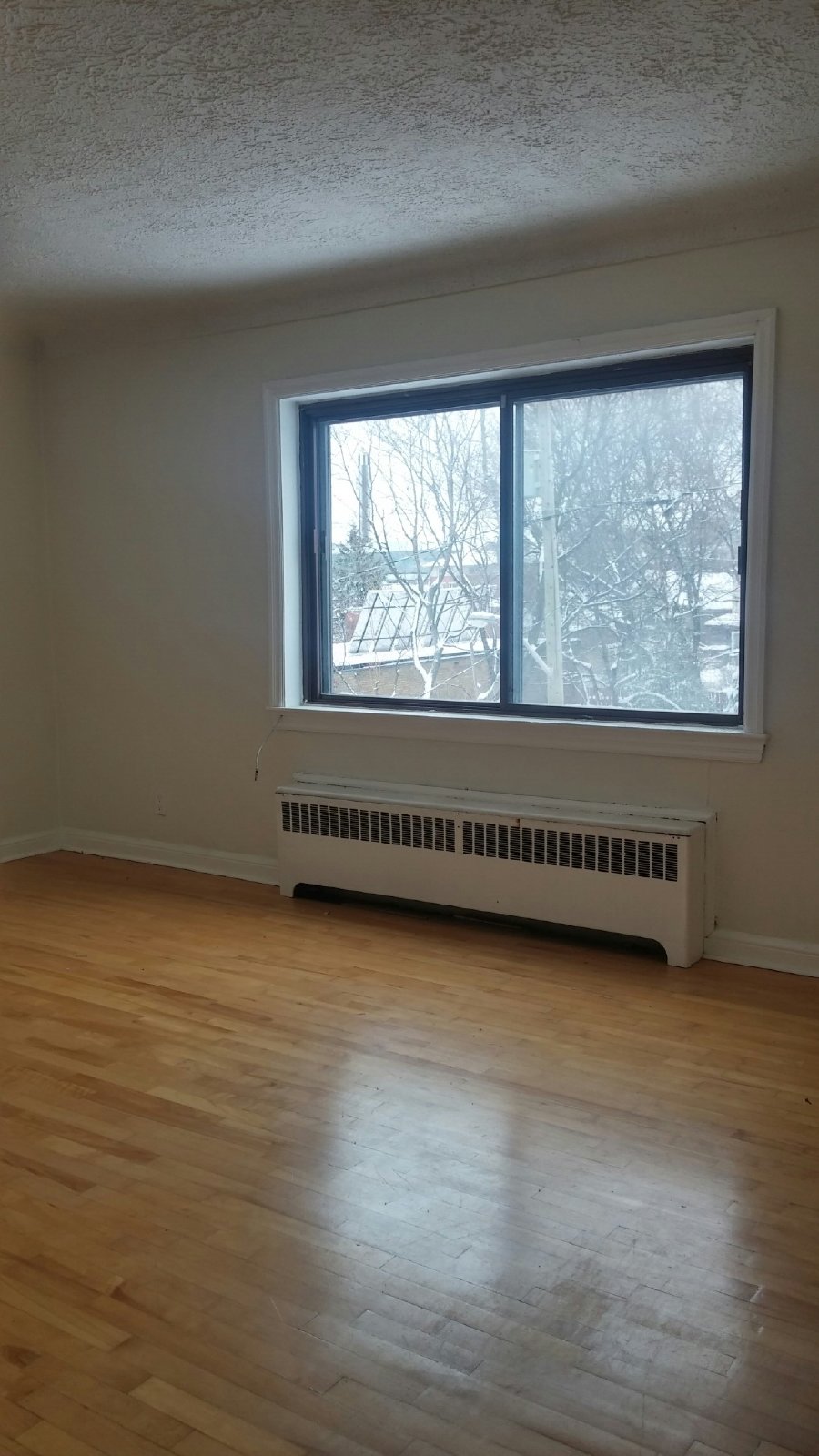 81 Russell Avenue - Unit 6 property image