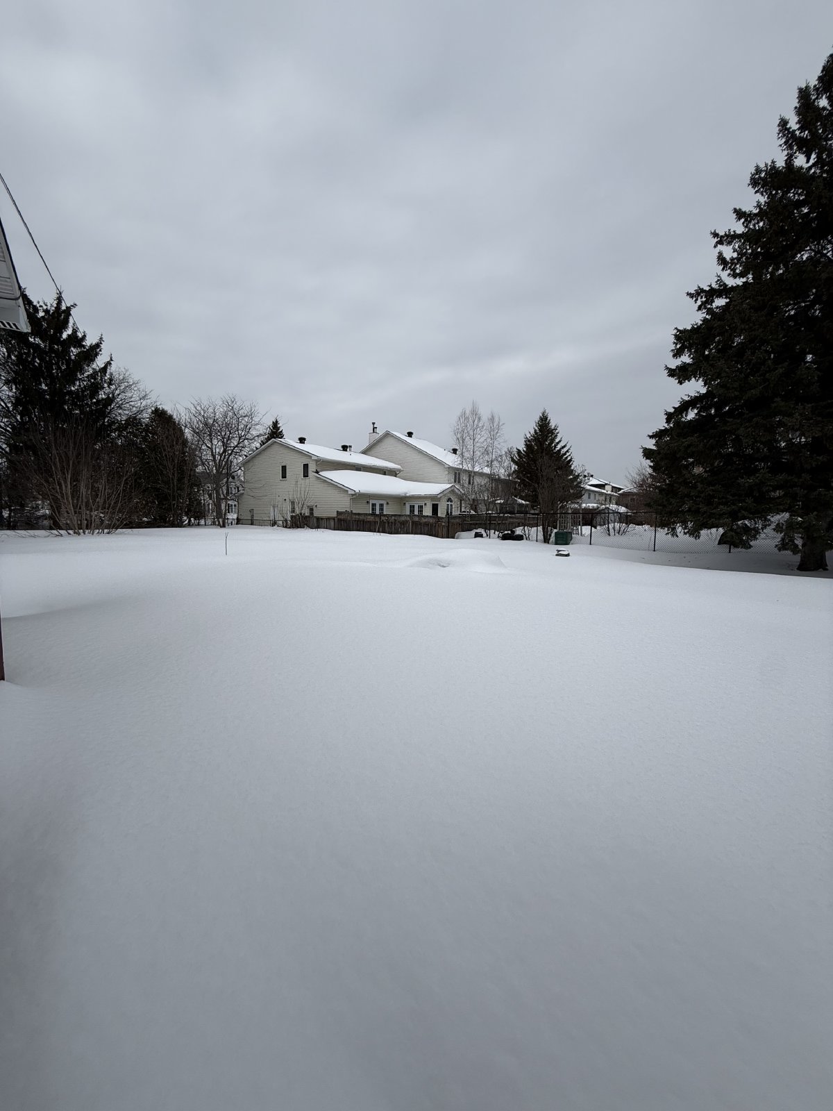 3728 Alderwood Street - 1 property image