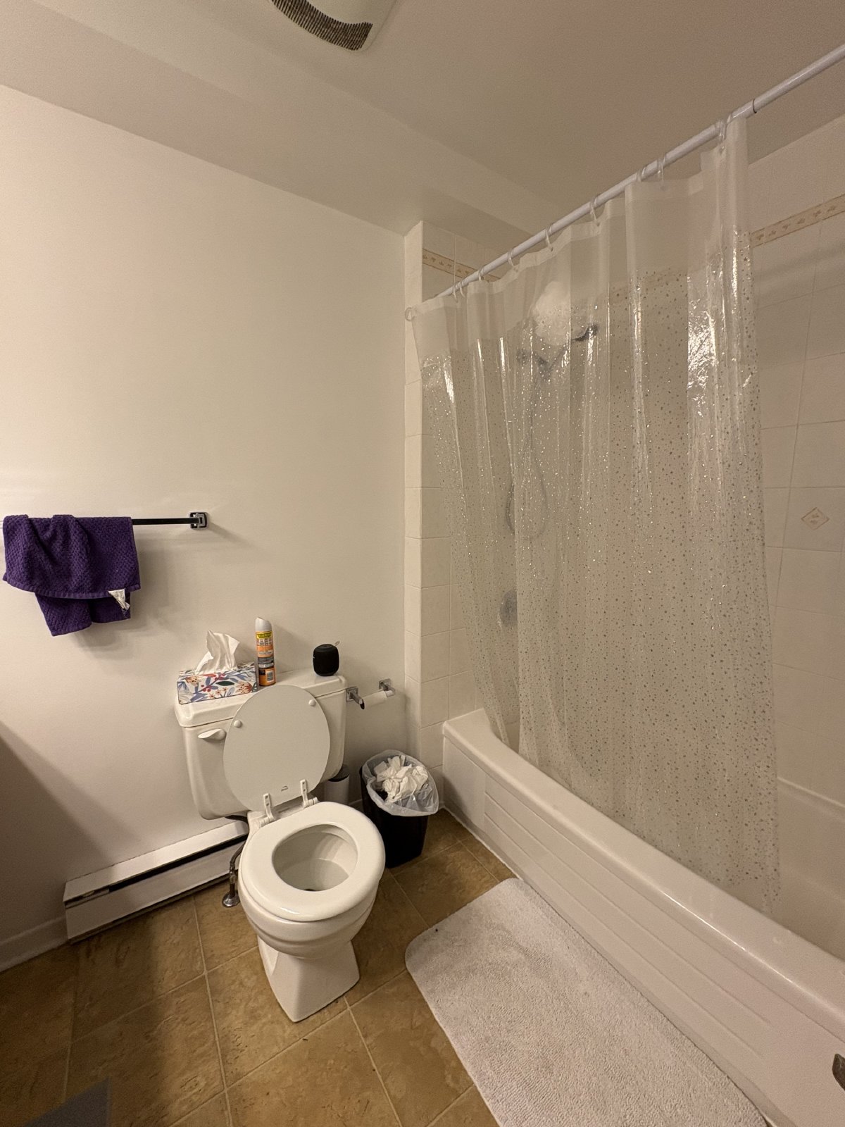 300 Somerset Street East - 1 property image