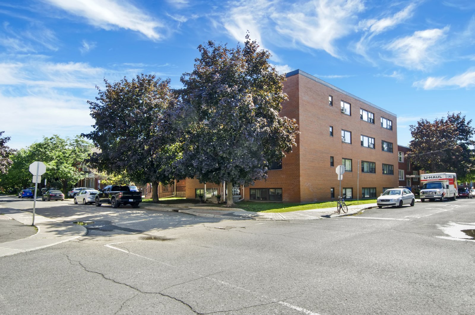 100 Waverley Street - 206 property image