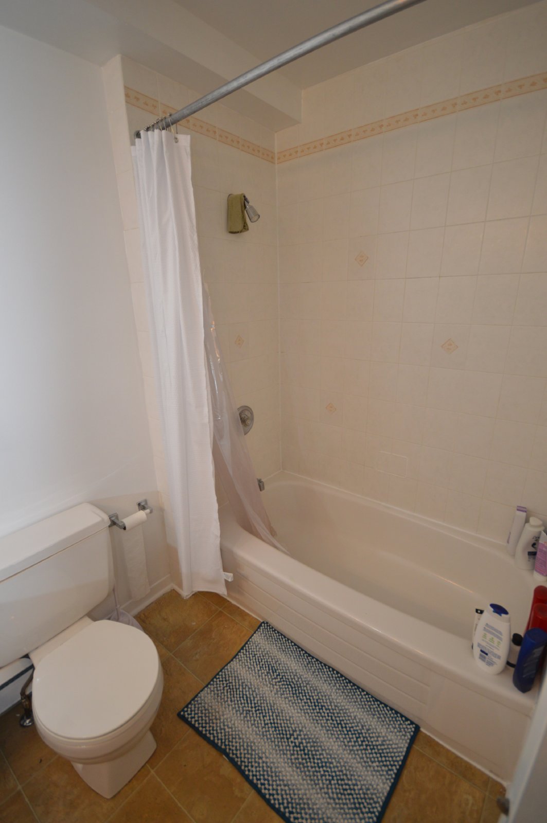 300 Somerset Street East - 1 property image