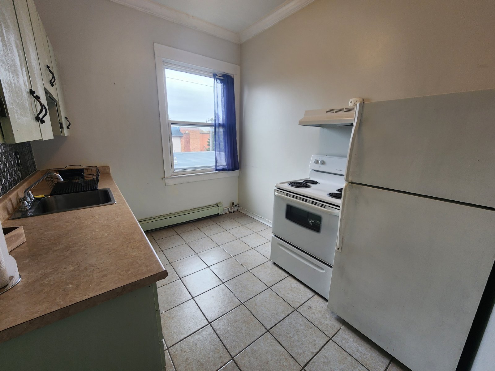 343 Elgin Street - A property image
