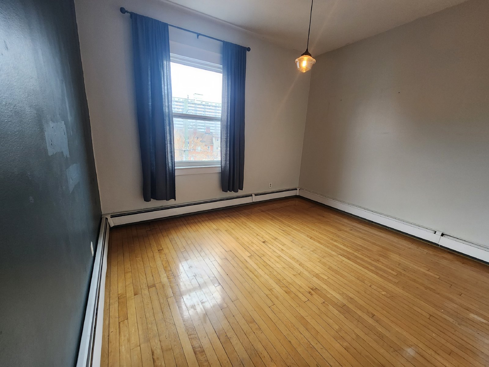 343 Elgin Street - A property image