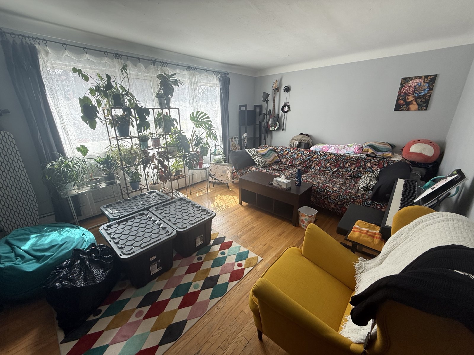 213 Glynn - Unit 2 property image