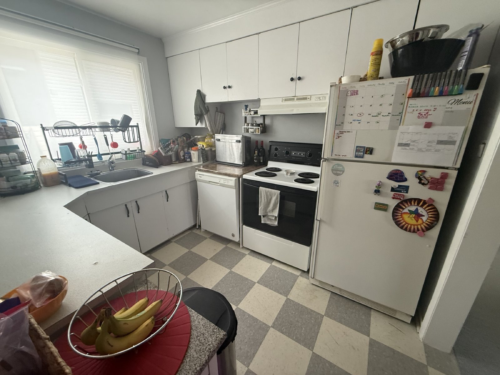 213 Glynn - Unit 2 property image