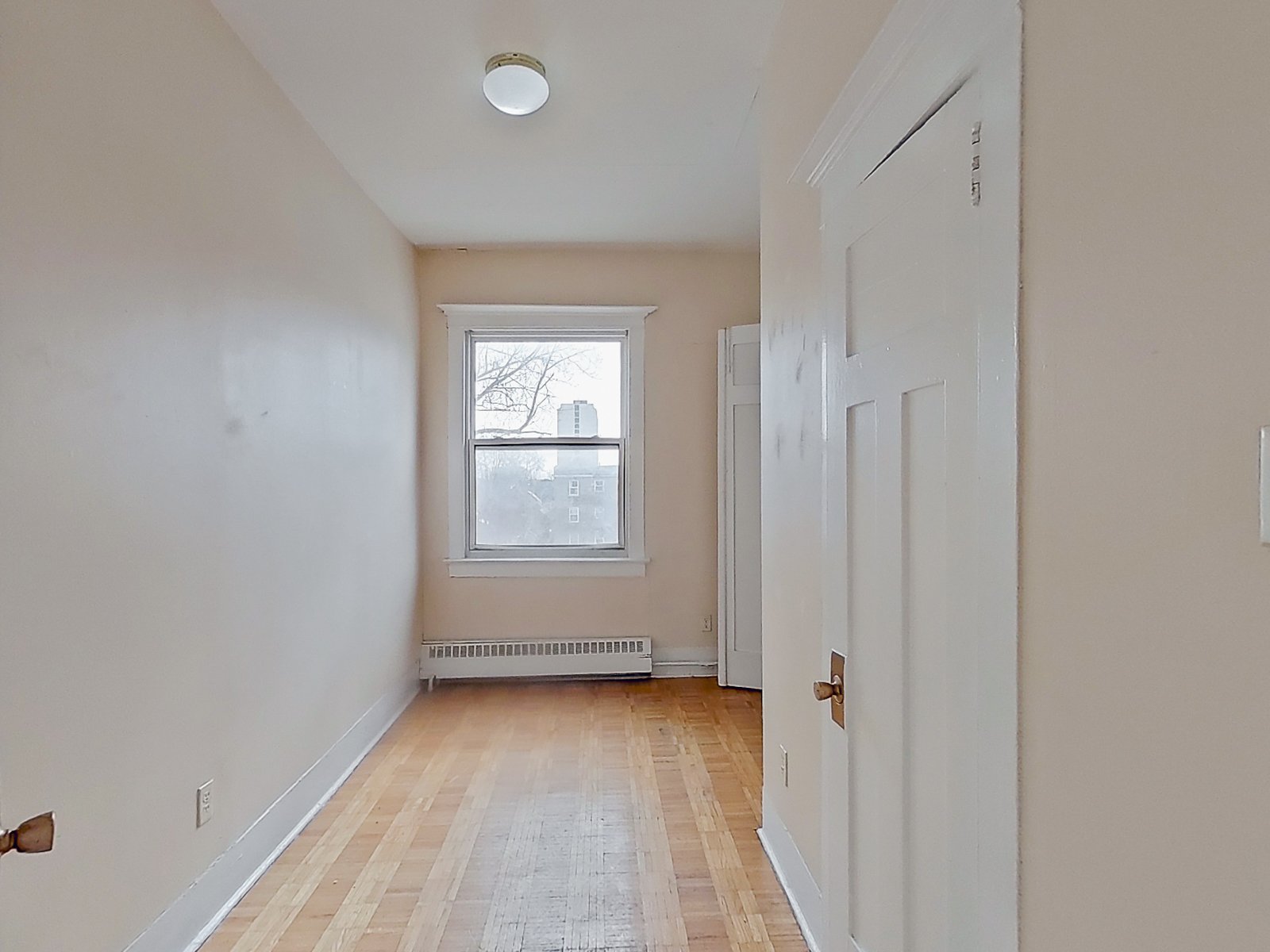 355 Elgin Street - C property image