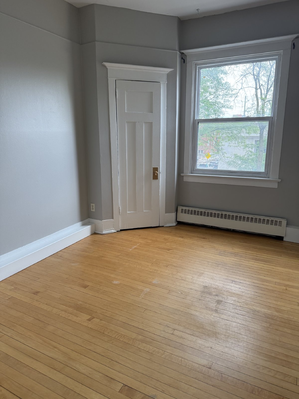 351 Elgin Street - B property image