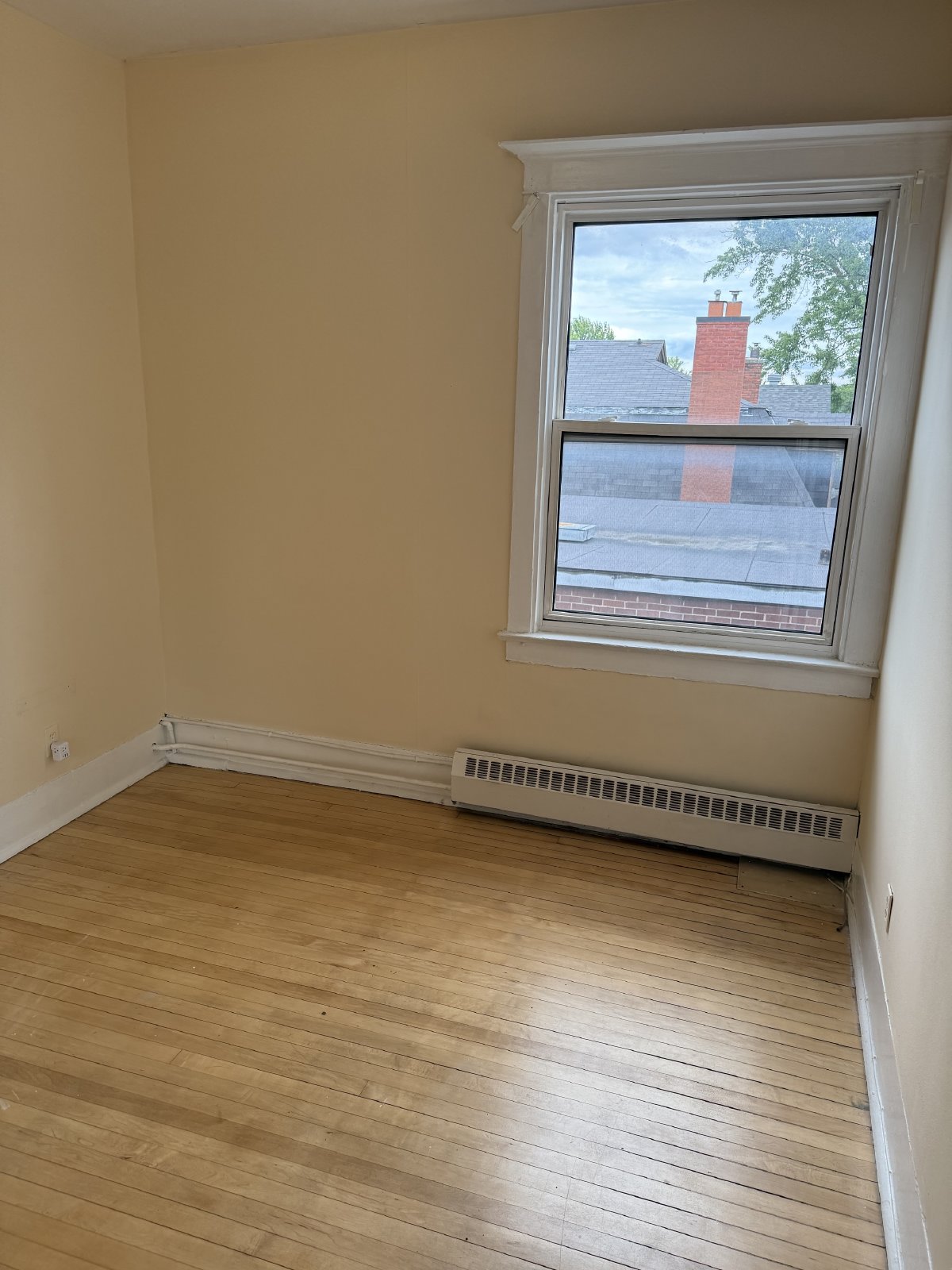 355 Elgin Street - C property image