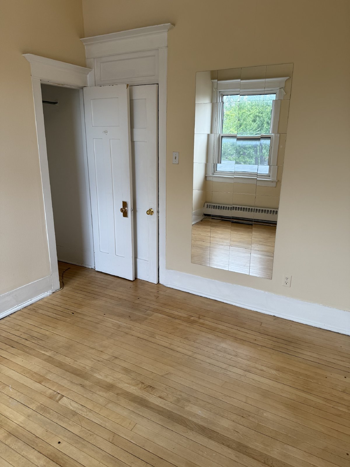 355 Elgin Street - C property image