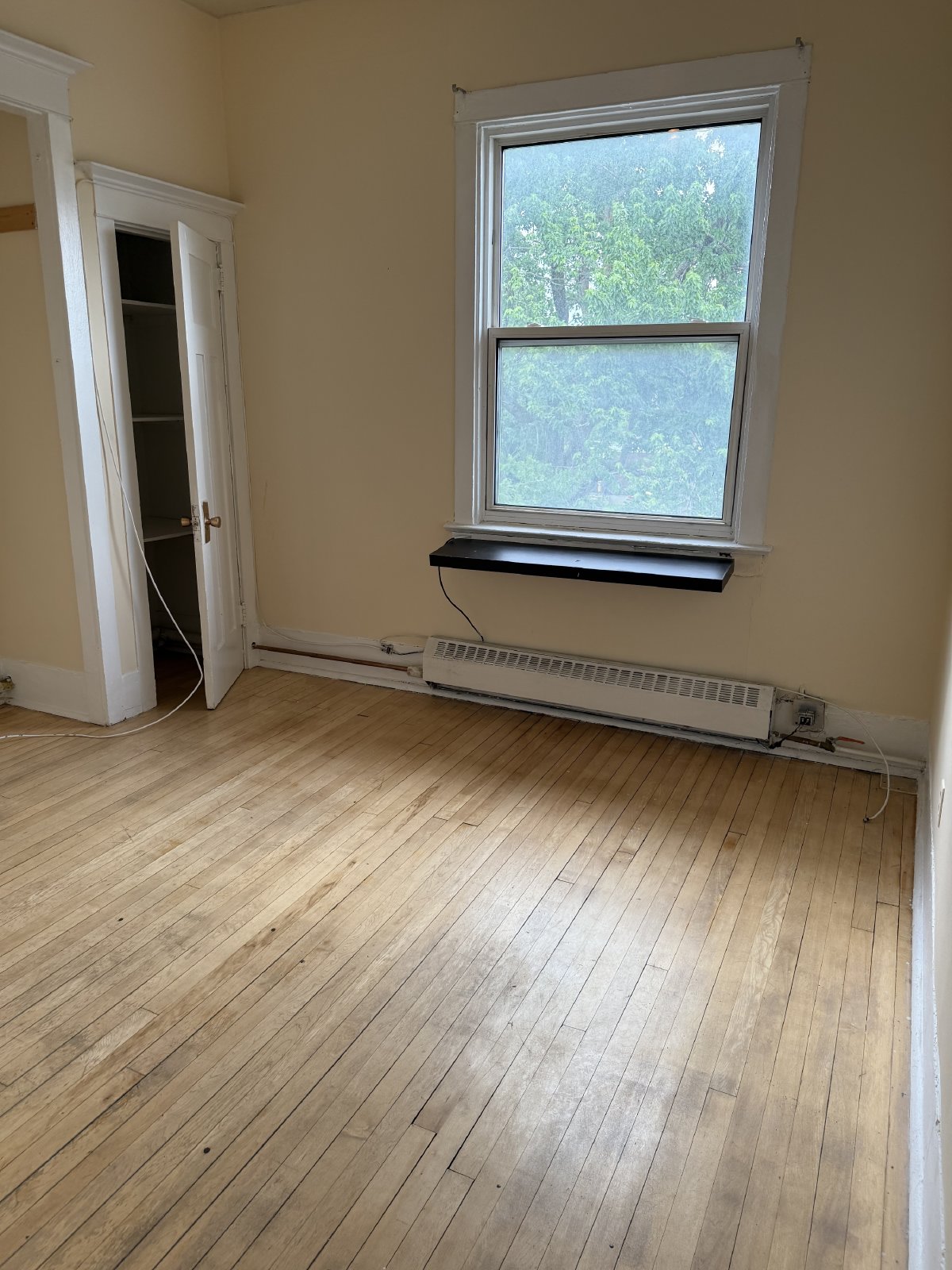 355 Elgin Street - C property image
