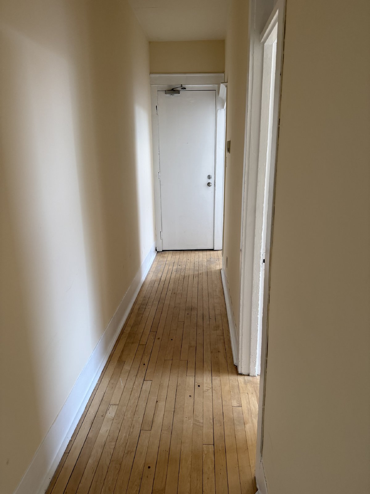 355 Elgin Street - C property image
