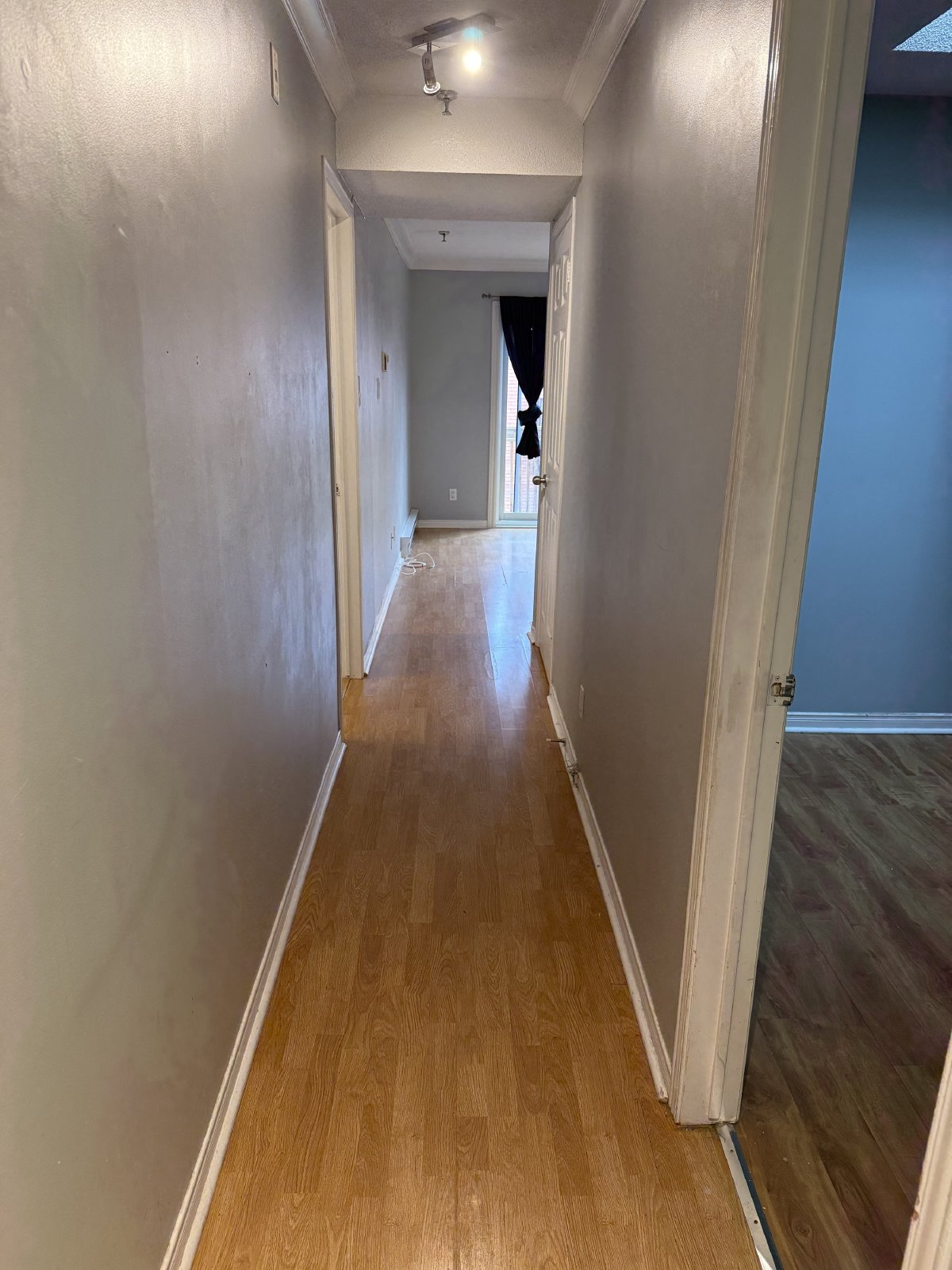 188 Waverley Street - 308 property image