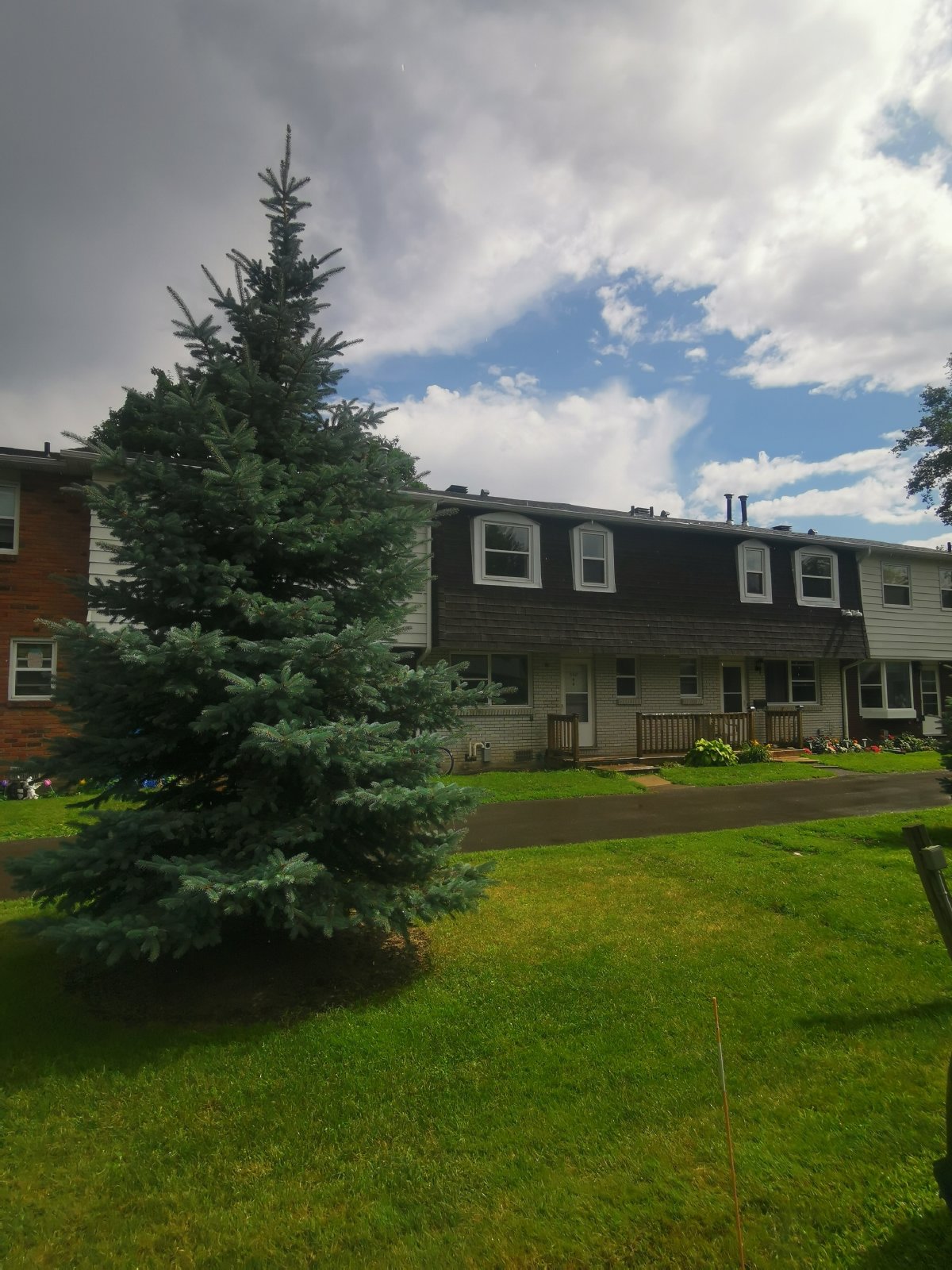 660 Hochelaga Street - 38 property image
