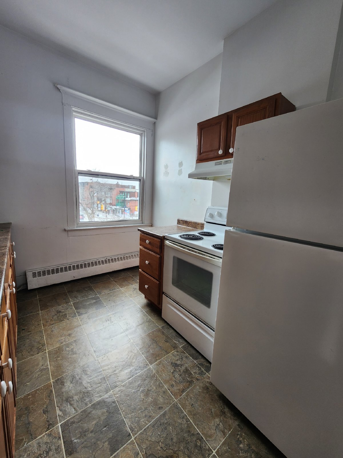 357 Elgin Street - C property image