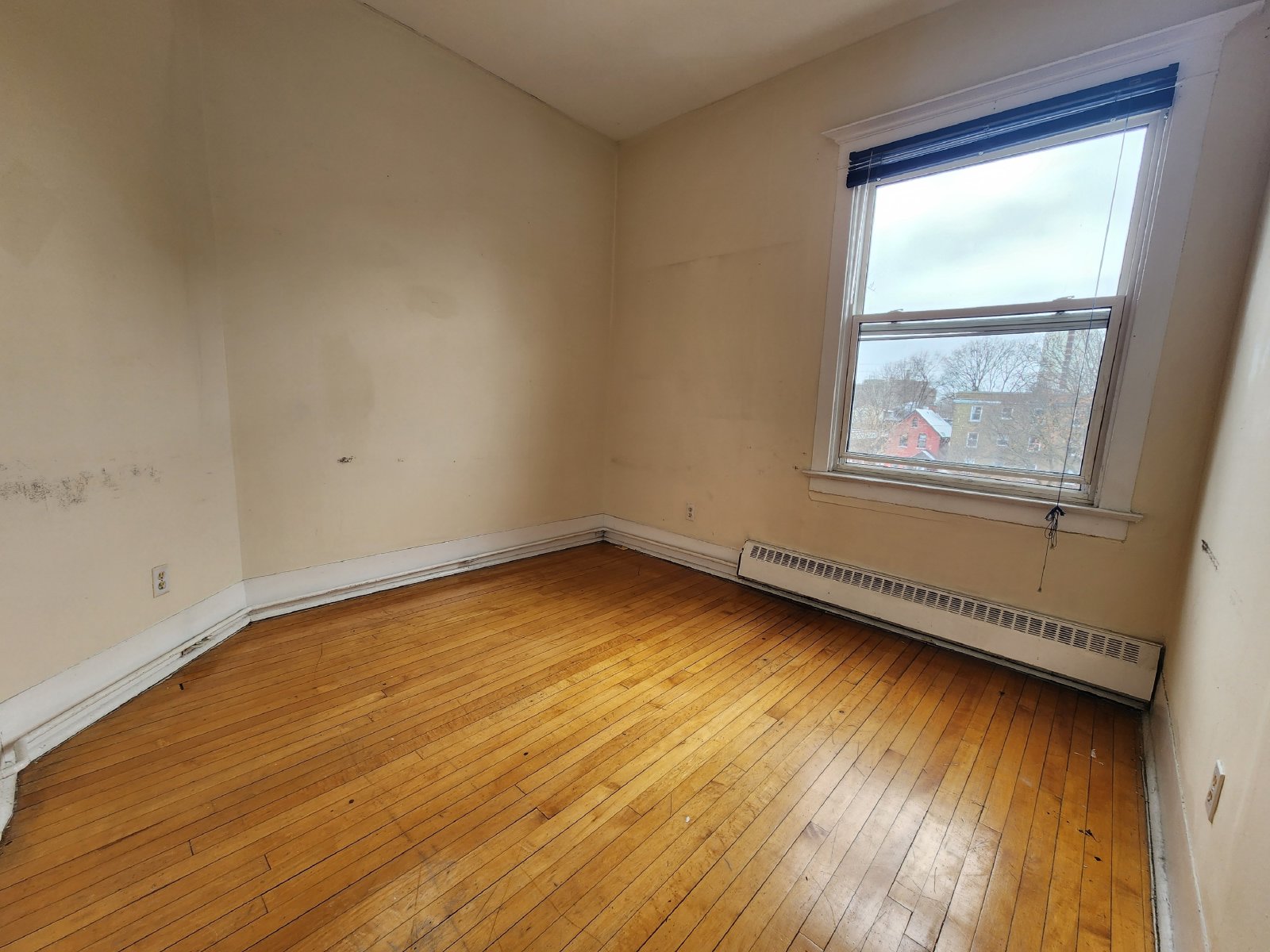 357 Elgin Street - C property image