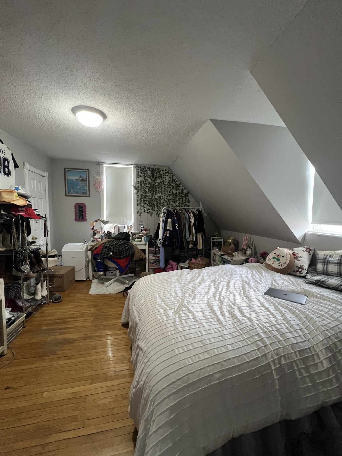 364 Chapel - Unit 4 property image