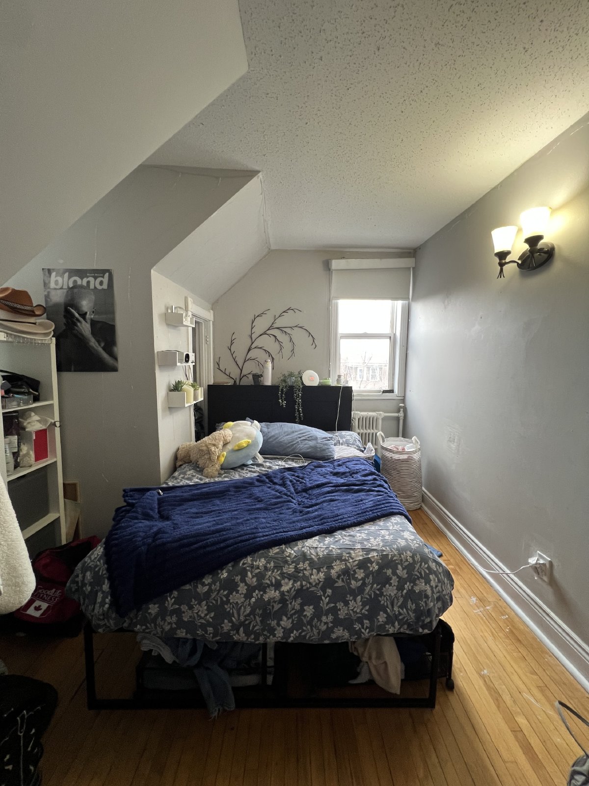 364 Chapel - Unit 4 property image