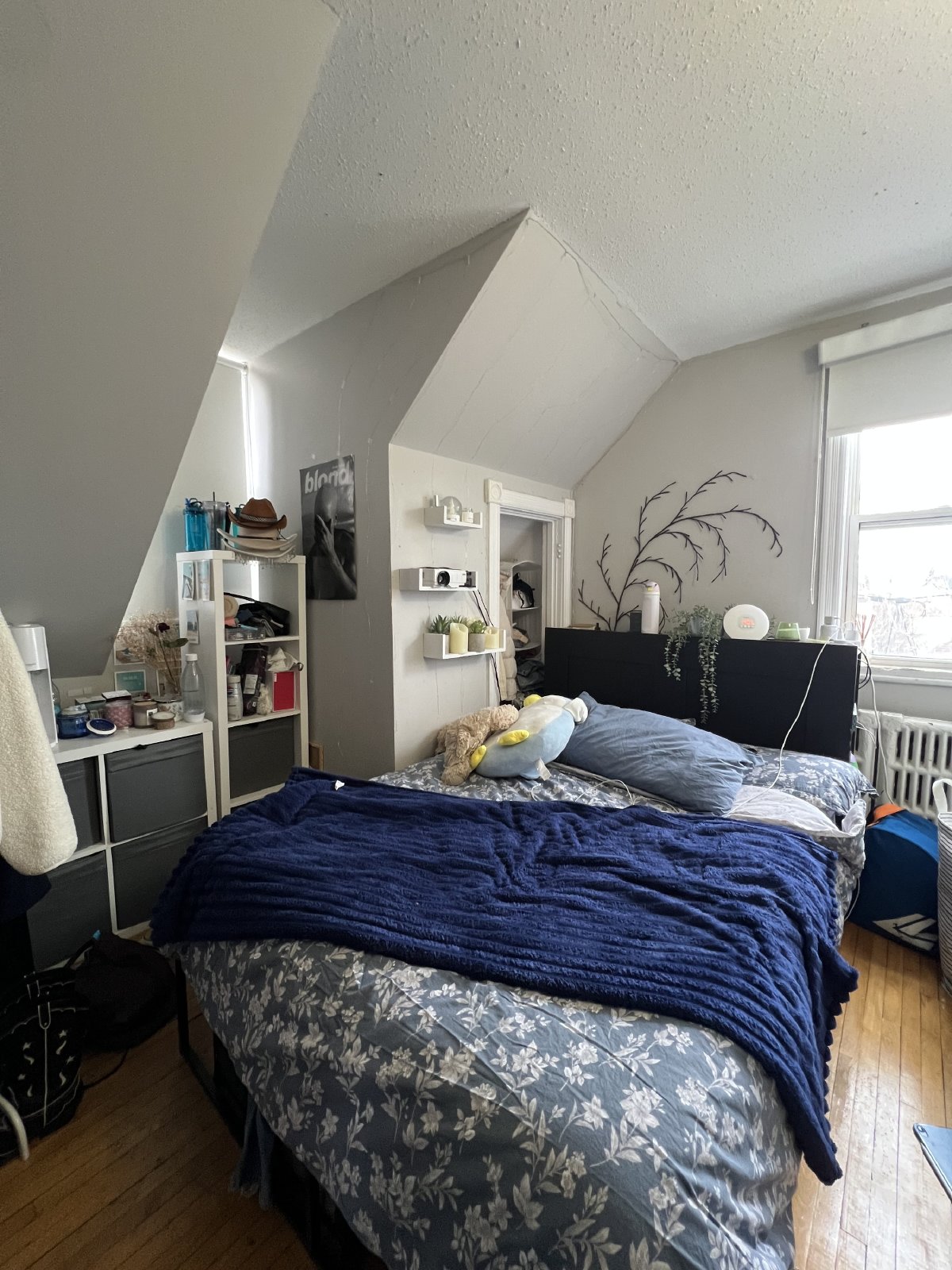 364 Chapel - Unit 4 property image