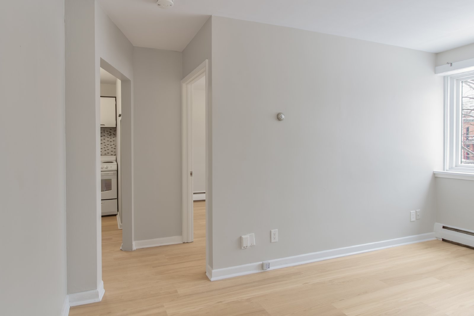 100 Waverley Street - 306 property image