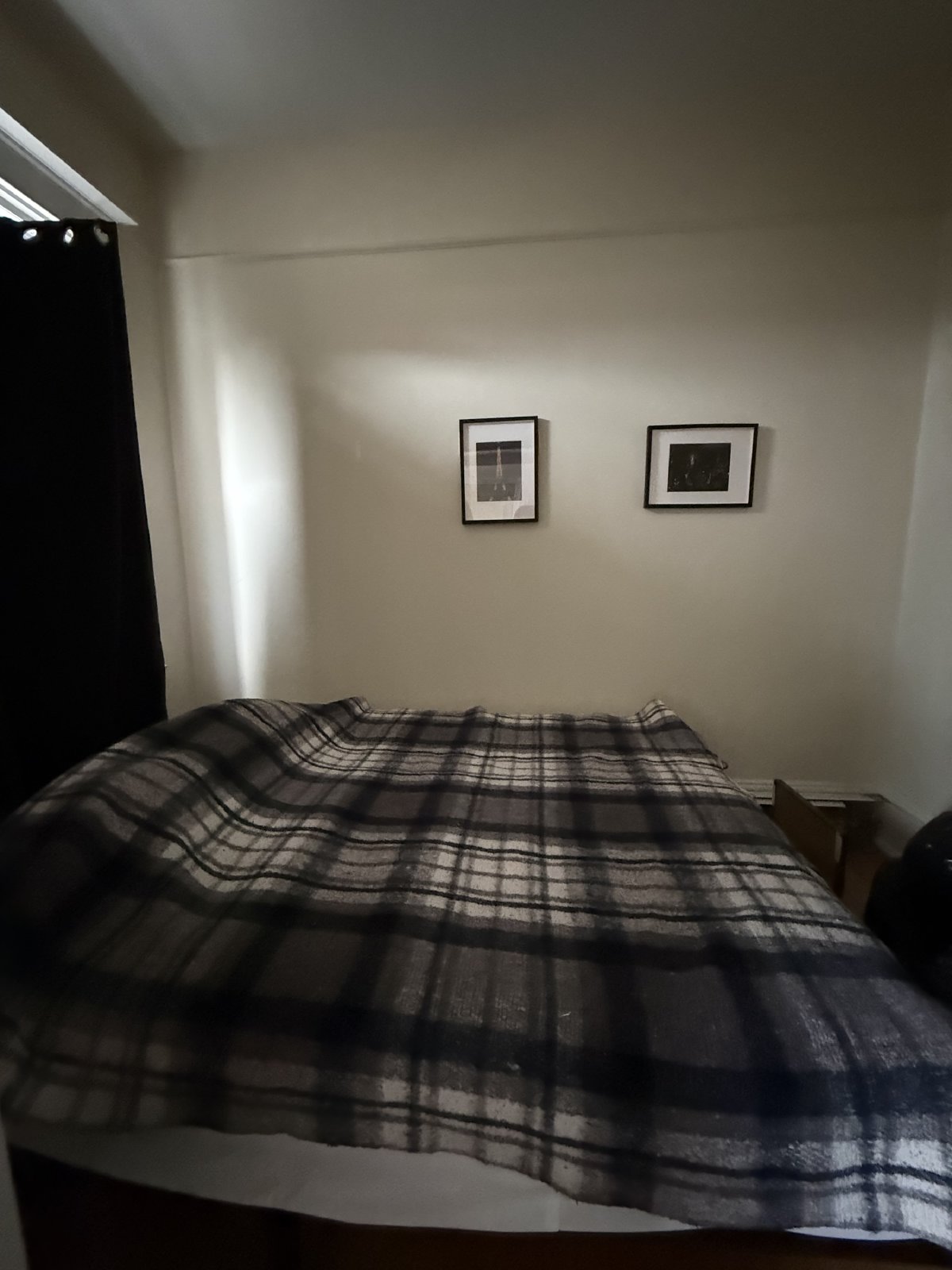347 Elgin Street - B property image