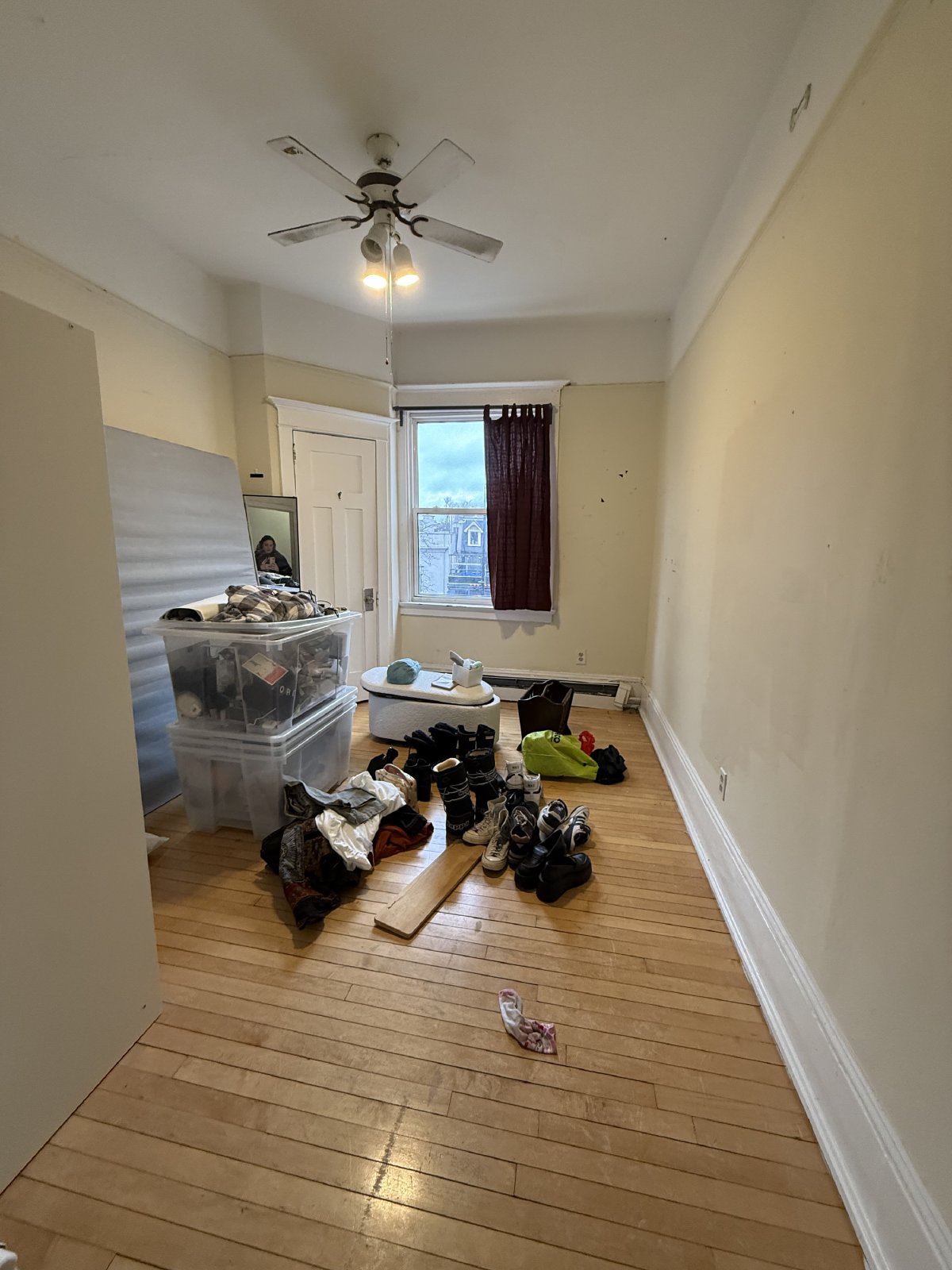 347 Elgin Street - B property image