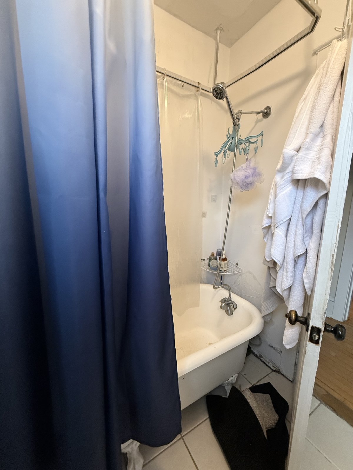 347 Elgin Street - B property image