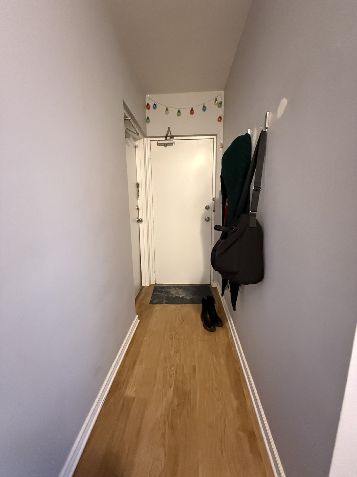 500 Clarence - Unit 1 property image