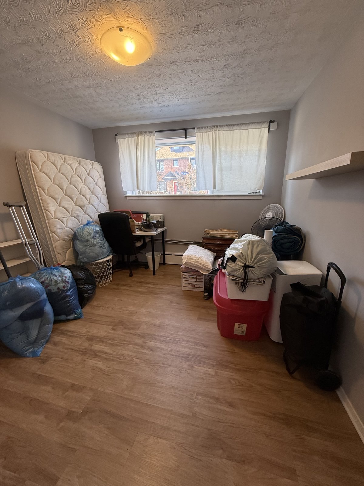 500 Clarence - Unit 1 property image