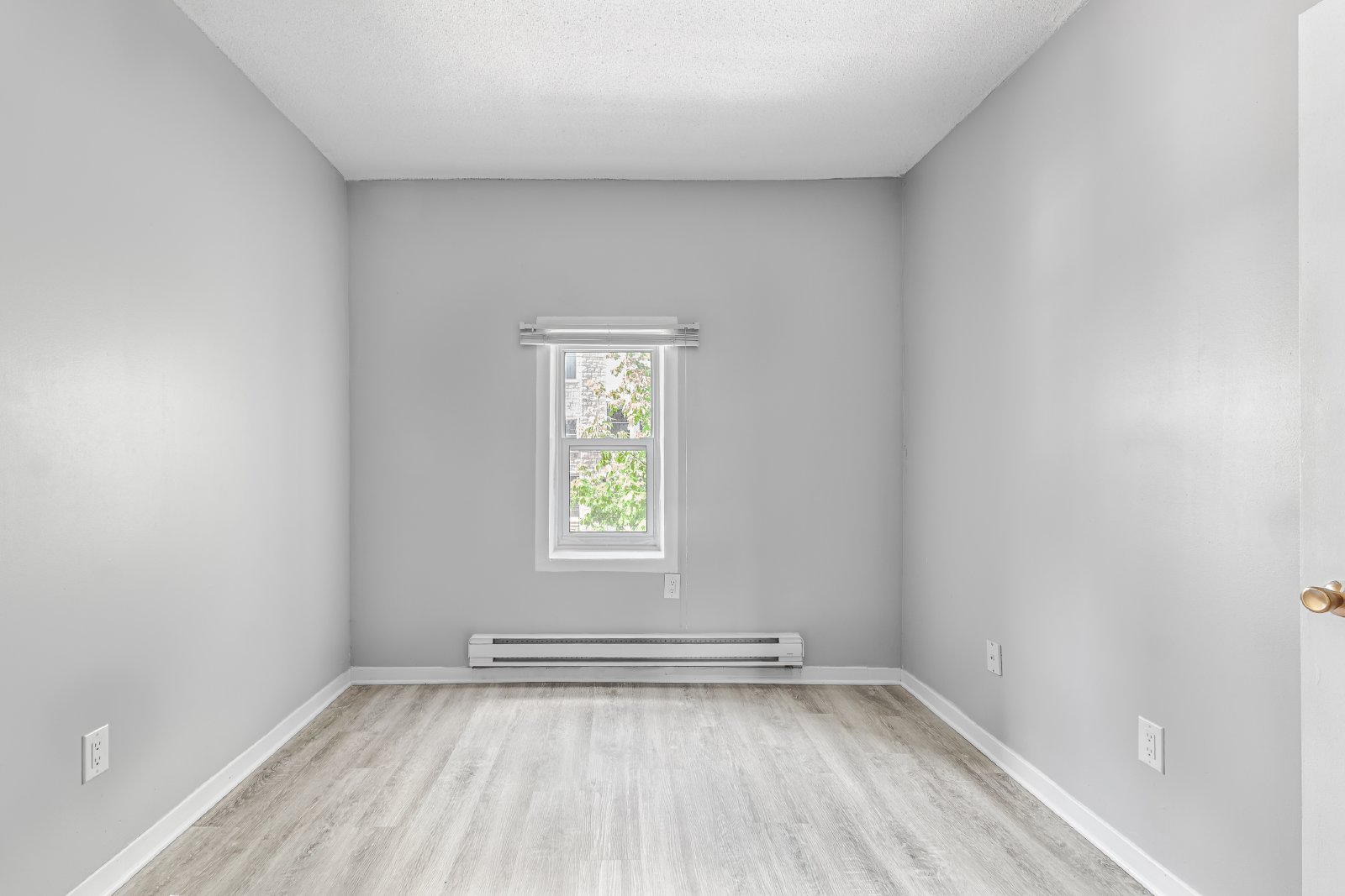 50 Bruyere Street - 5 property image