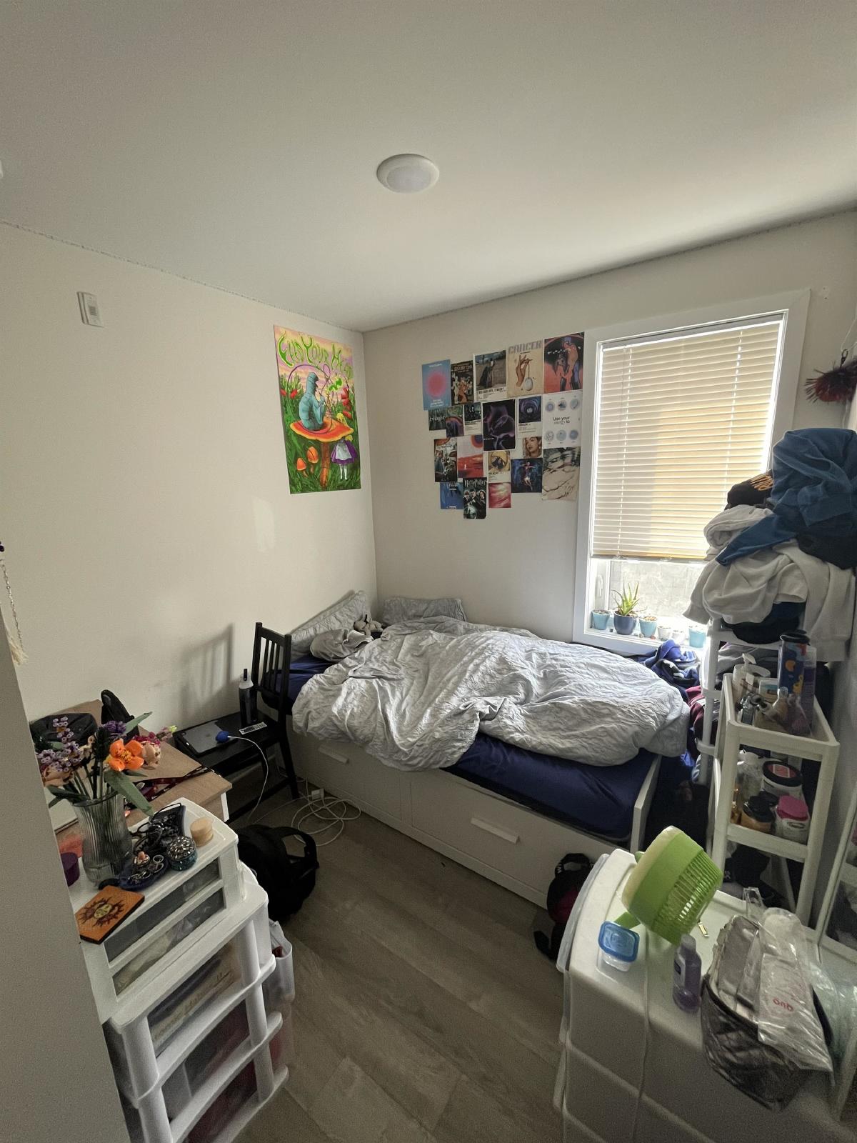 296 Rue Somerset Street East - 3 property image