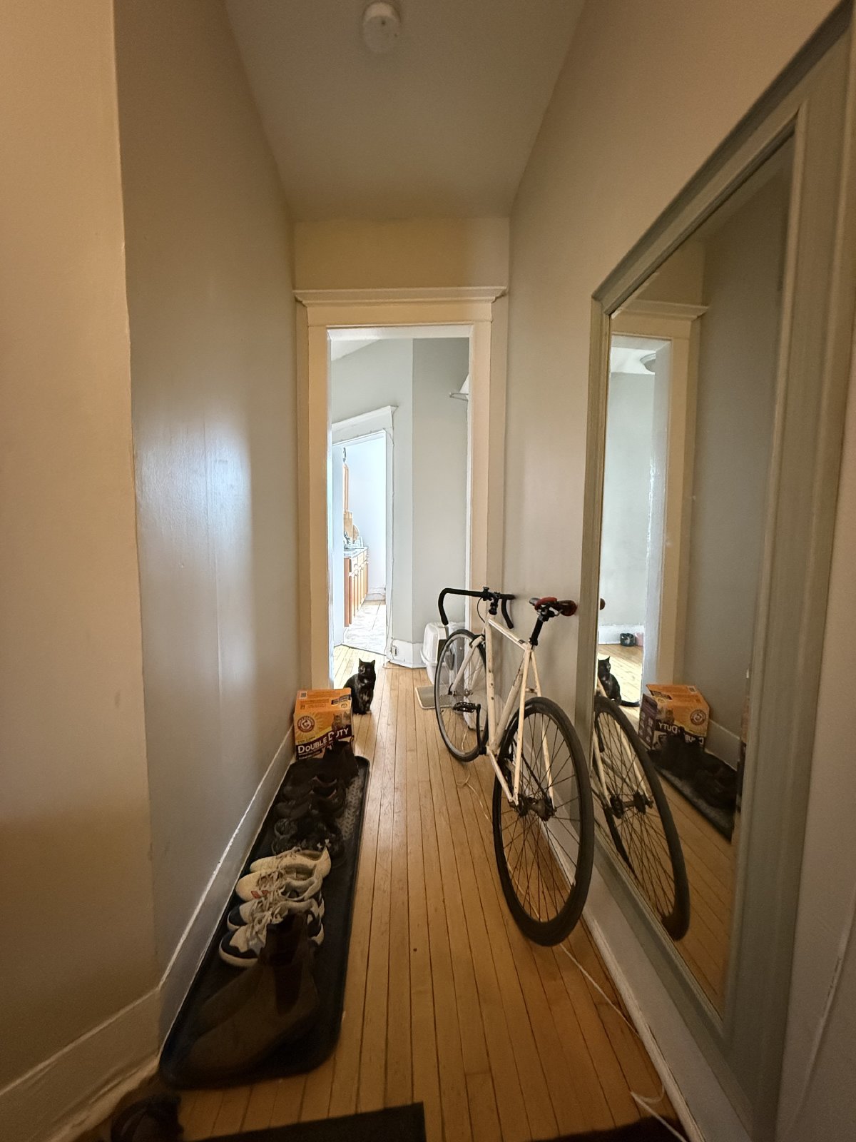 357 Elgin Street - B property image