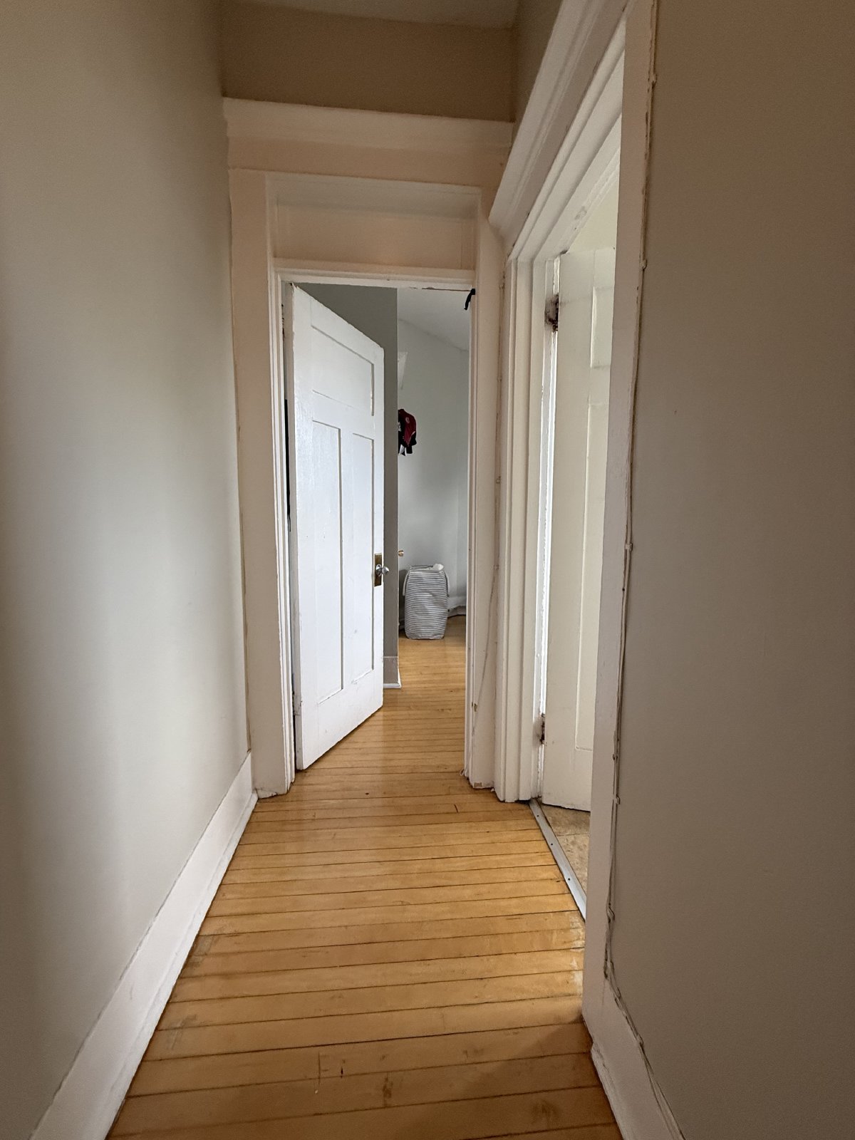 357 Elgin Street - B property image