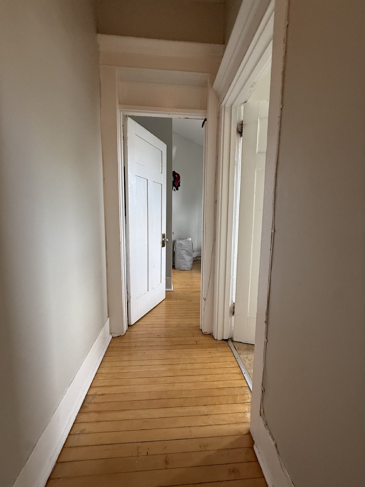 357 Elgin Street - B property image