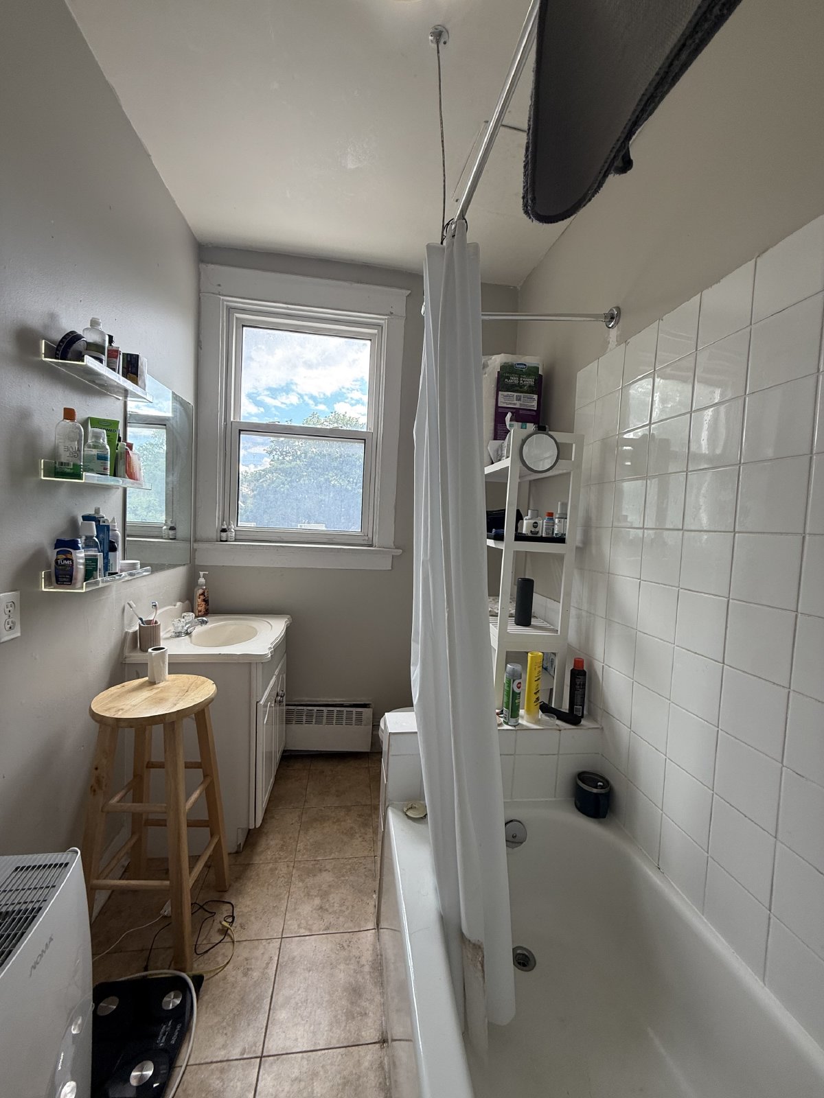 357 Elgin Street - B property image