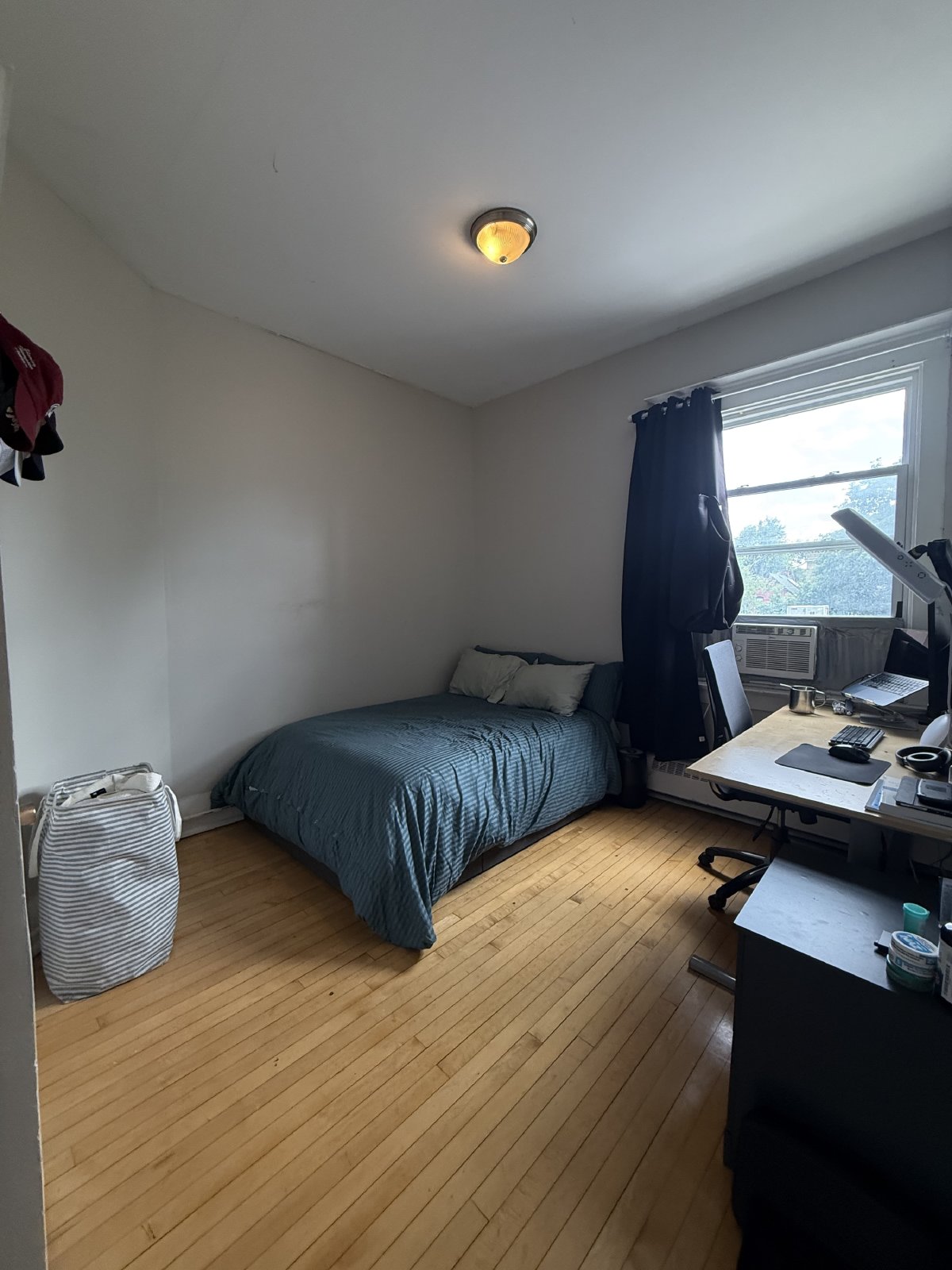 357 Elgin Street - B property image