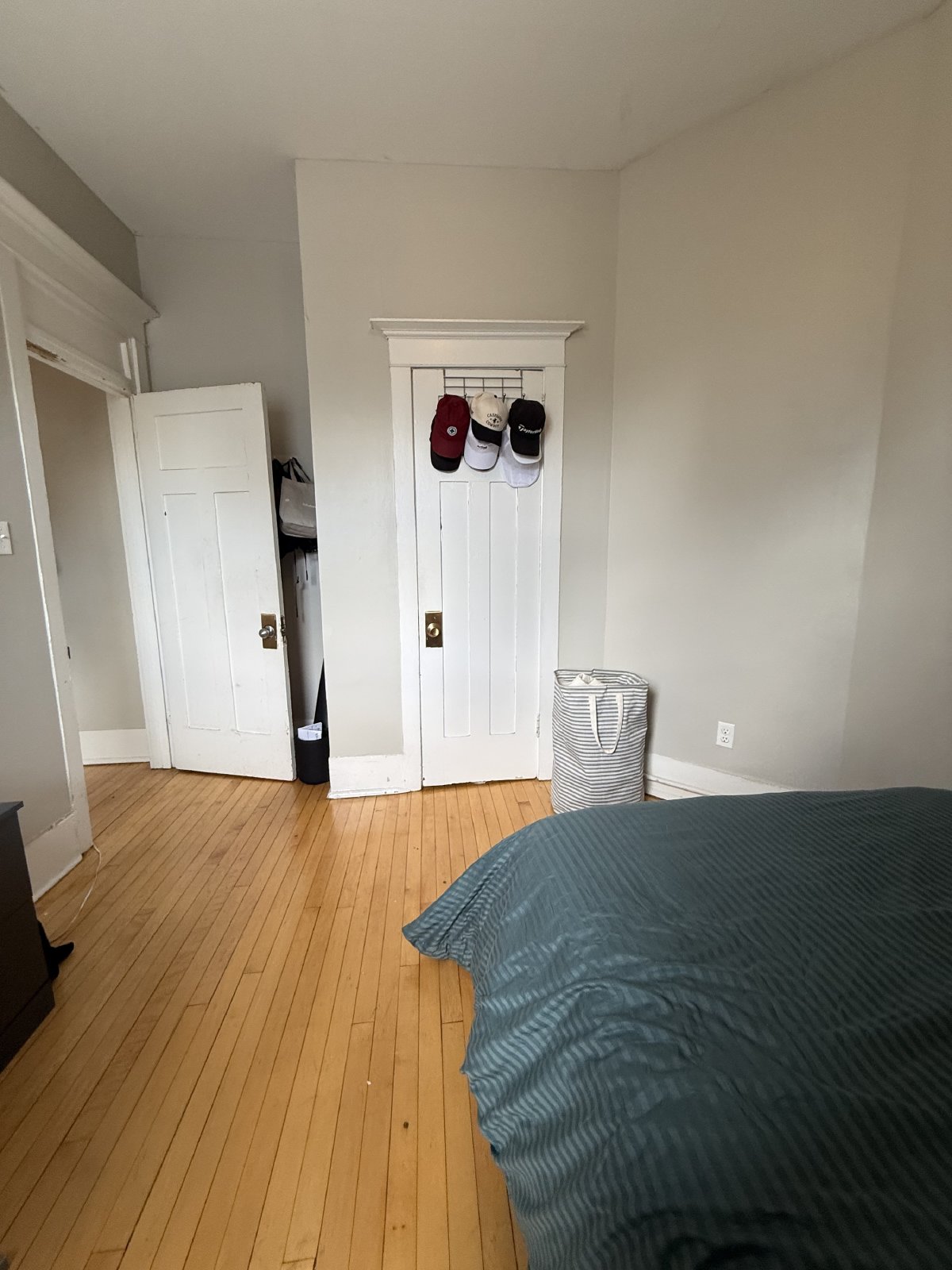 357 Elgin Street - B property image