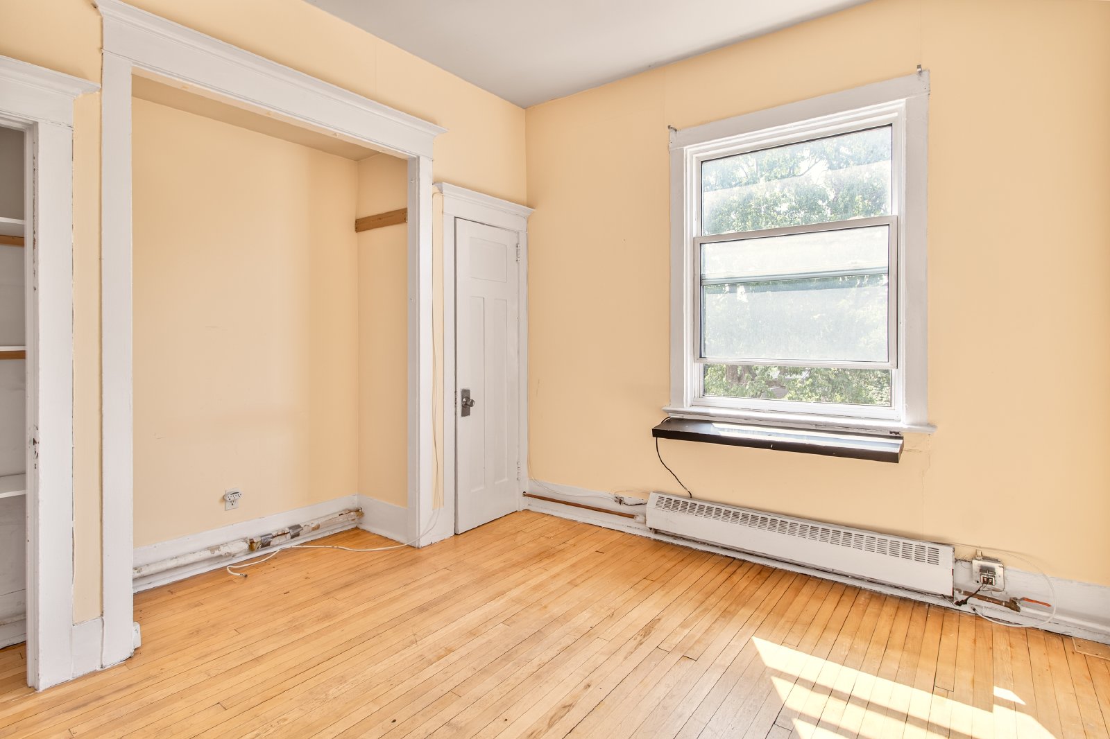 355 Elgin Street - C property image