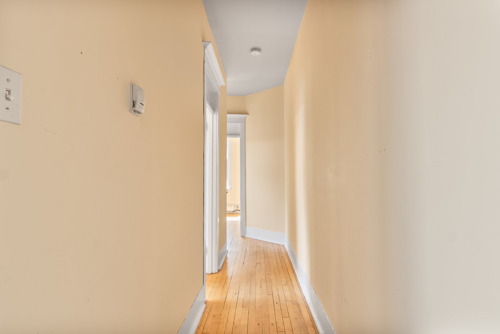 355 Elgin Street - C property image