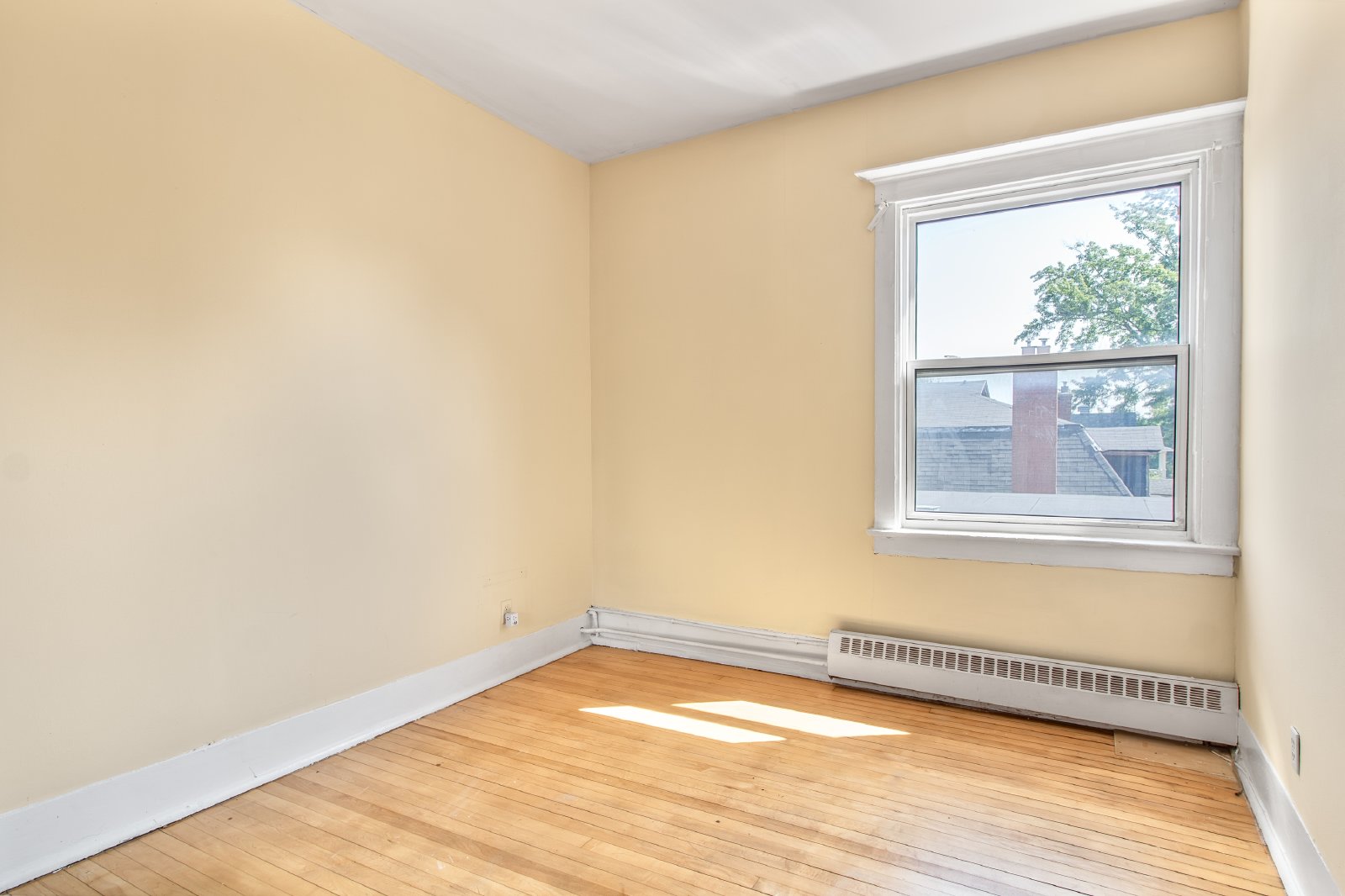 355 Elgin Street - C property image