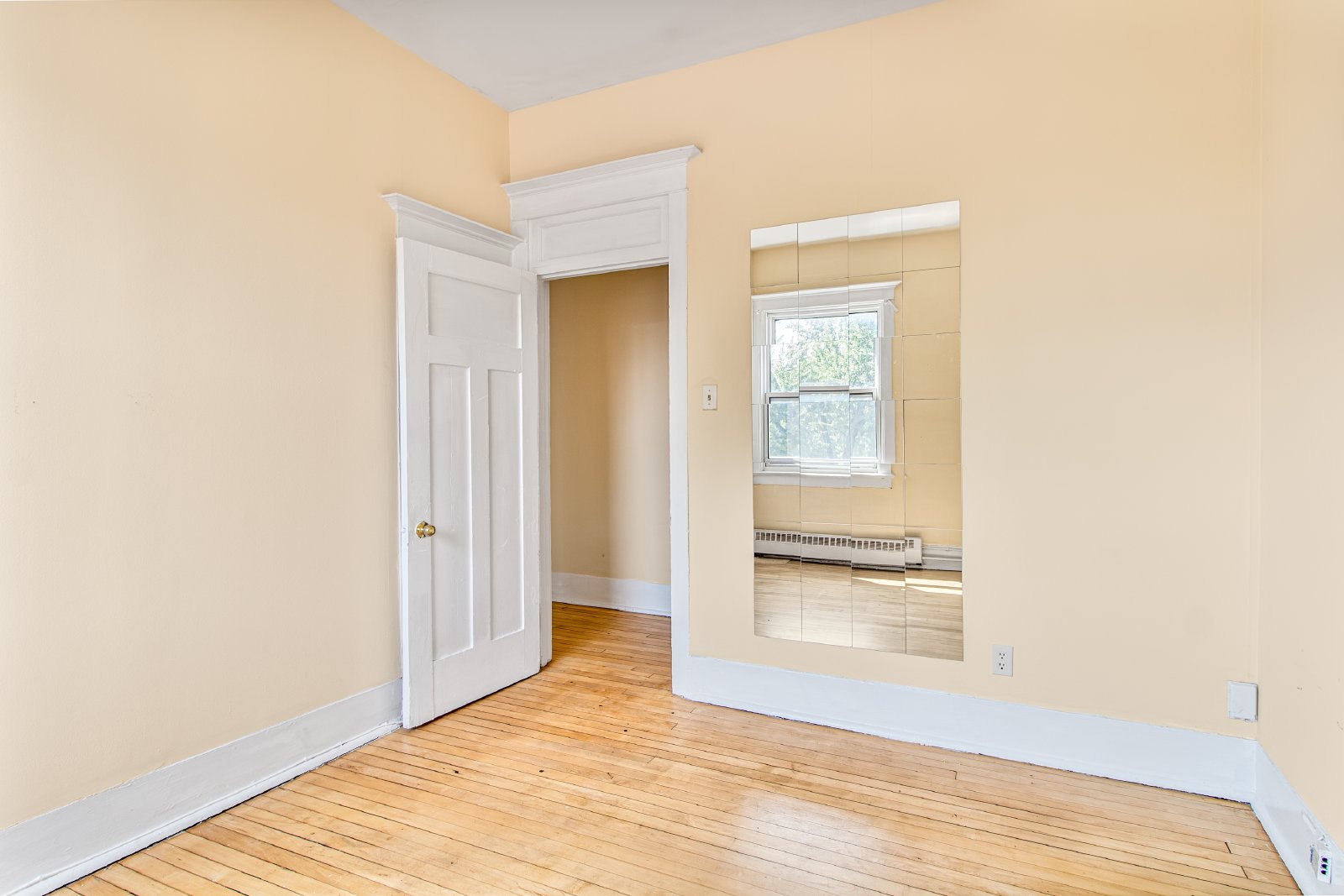 355 Elgin Street - C property image