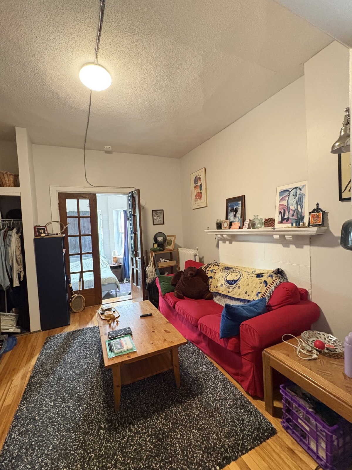 305 Waverley Street - 4 property image