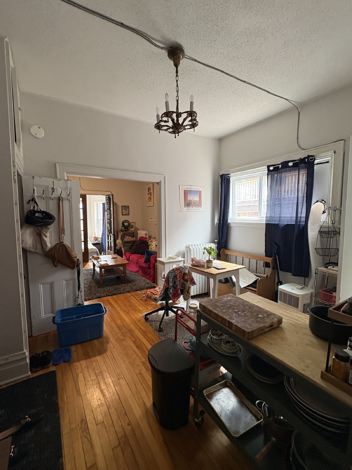 305 Waverley Street - 4 property image